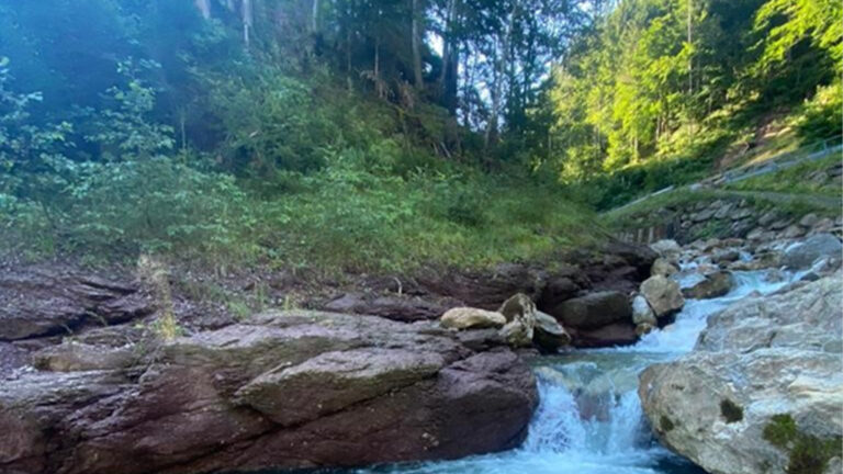 Vom 27. bis 29. Juni 2025 lädt Udo Kreibich zum Zahnkranz Bike-Event in die berühmte Mountainbike-Metropole Leogang im Salzburger Land ein.